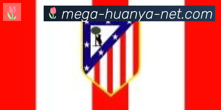 环亚体育合作伙伴